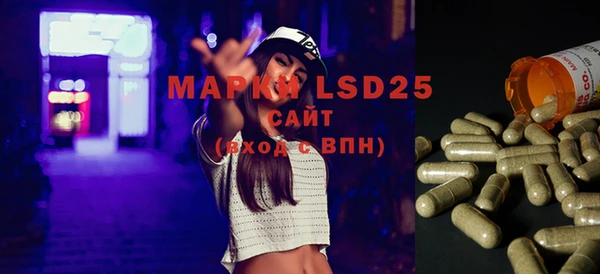 индика Каменка