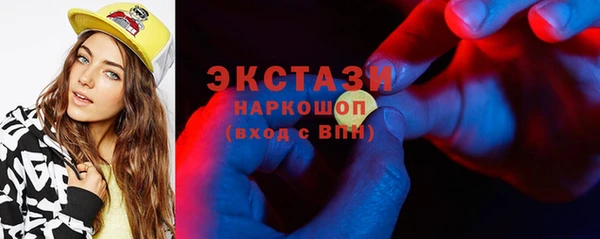 индика Каменка