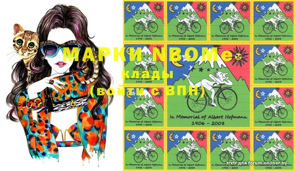 ешки Новосибирск