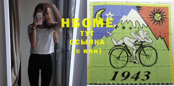 индика Каменка