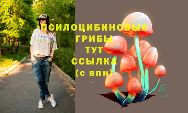 МДПВ Иннополис