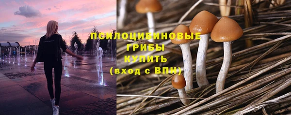 мет Инсар