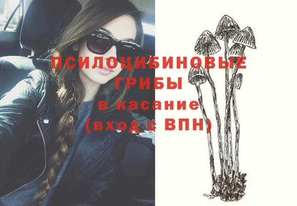 индика Каменка
