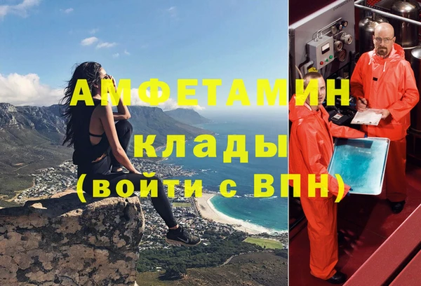 амф Инта