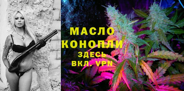 амф Инта
