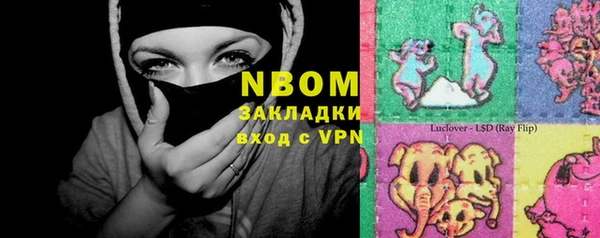 амф Инта