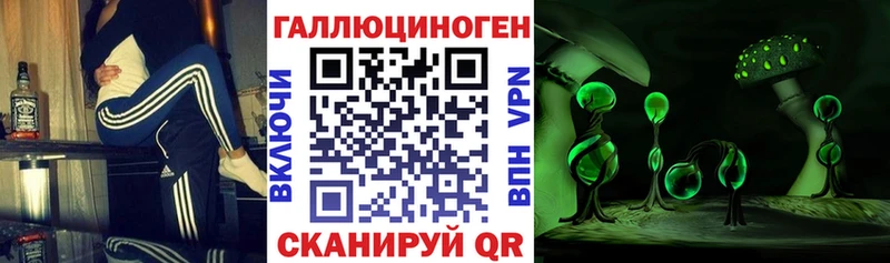 Купить  Отрадный  Псилоцибиновые грибы GOLDEN TEACHER 