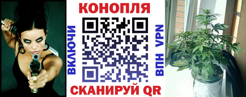 Каннабис конопля  Купить где  Отрадный 